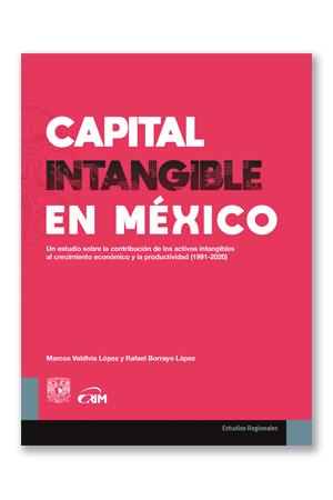 Capital intangible en México